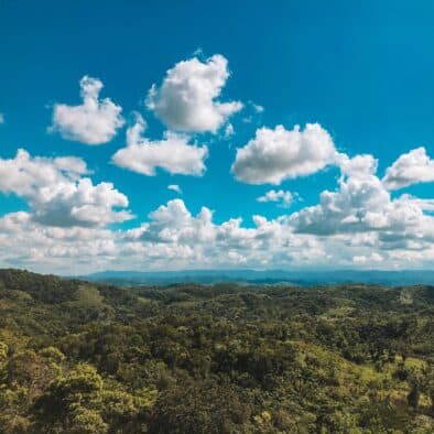 belize jungle resort