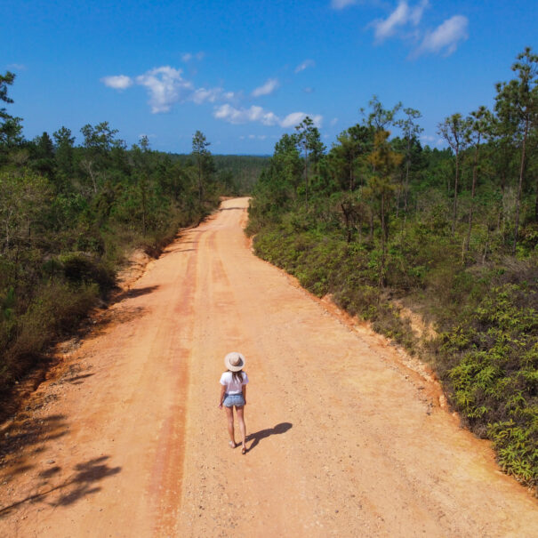 mountain pine ridge belize
